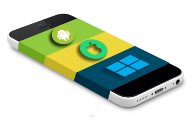 Enterprise Resource Planning (ERP) Systems and the Future